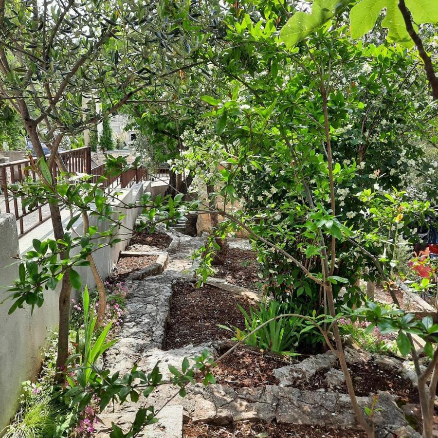 Tara'S Apartman Supetar Ngoại thất bức ảnh